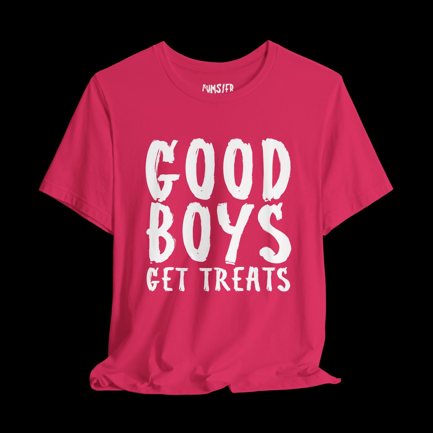 Treats for Good Boys - Tee