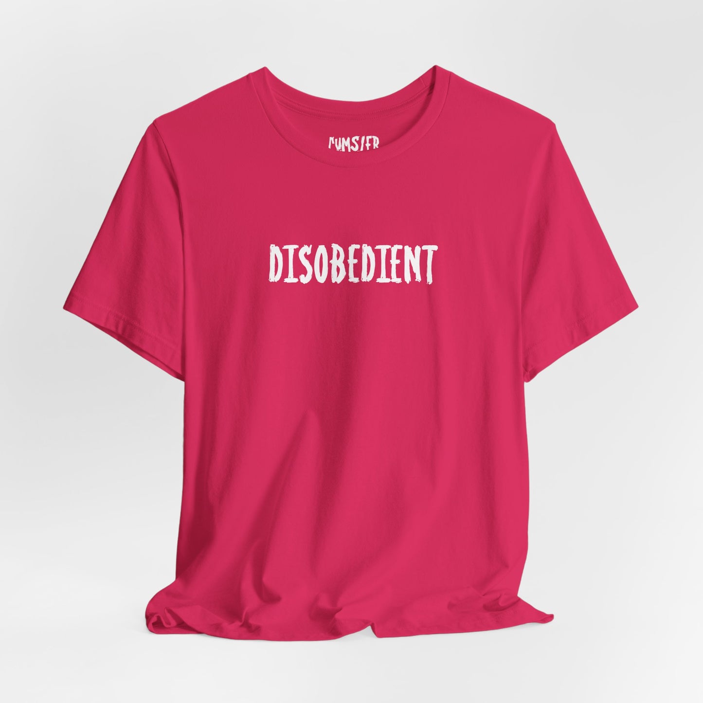 THE DISOBEDIENT one